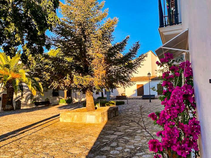 Grazalema - Casita La Calma - Incredible Views, Clima Frio-Calor, Wifi & Private Parking Optional Βίλα Εξωτερικό φωτογραφία